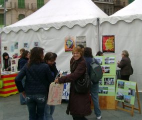 FSMa2008entrepoblesparadeta.jpg, 44 KB