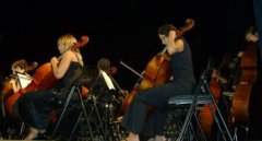 ojipc2007viol.jpg, 16 KB