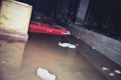 27 __7_0168A.JPG, 16 KB