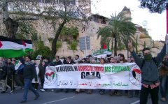 ImgManiPalestina2009_01_24 (57b).JPG, 74 KB