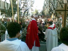 Rams2009b.JPG, 81 KB