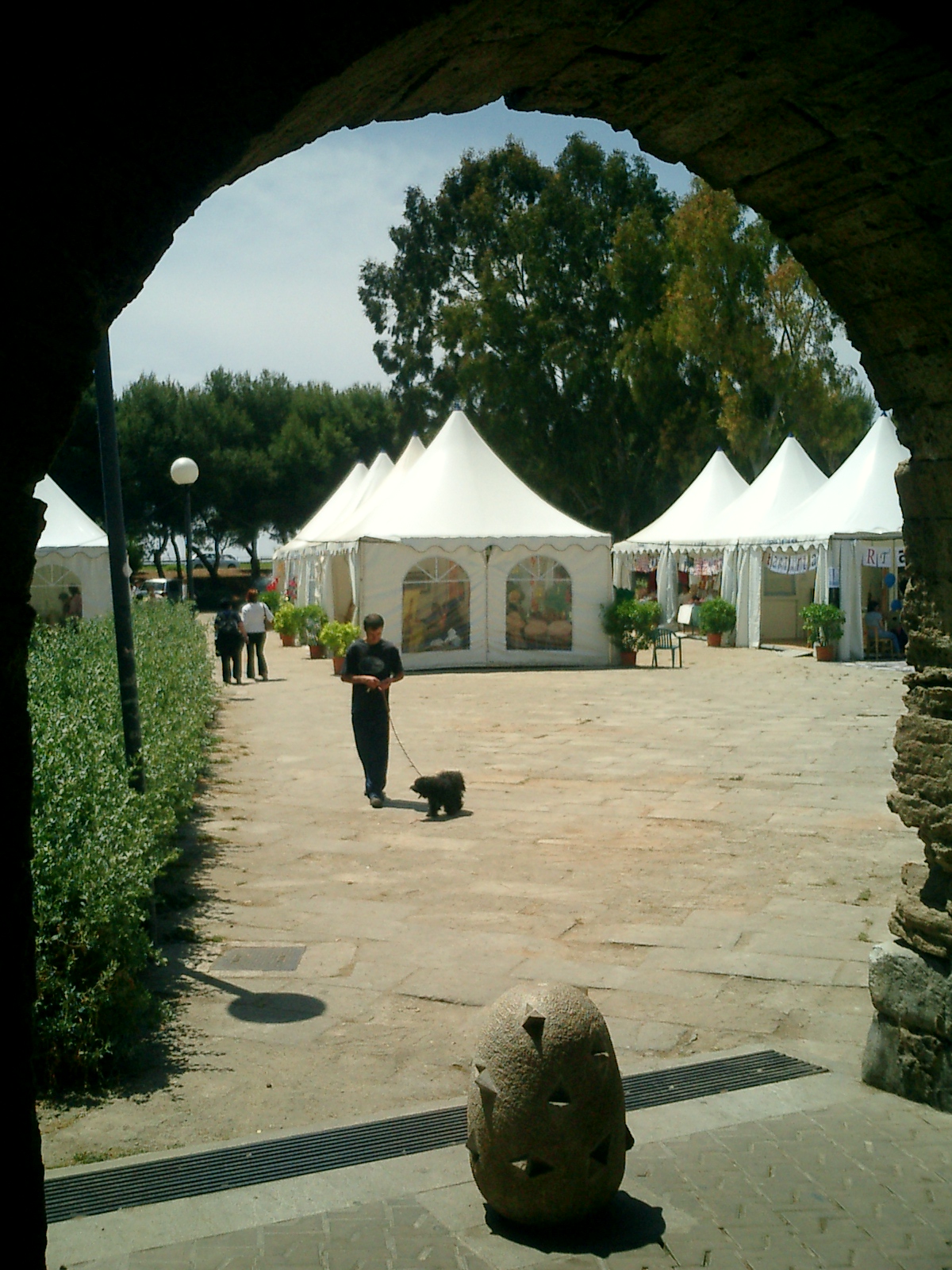 ciutat palma educativa aper primavera 2005 (23).JPG,  bytes